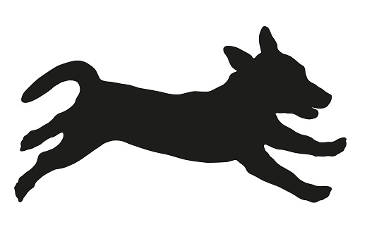 Running and jumping jack russell terrier puppy. Black dog silhouette. Pet animals. Isolated on a white background. Vector illustration.