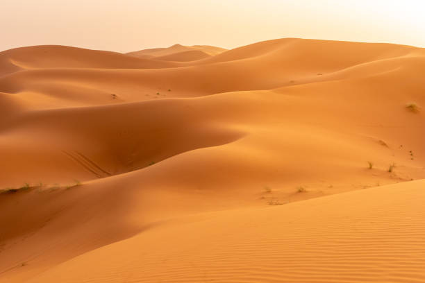 istock Beautifull Sahara desert at Morrocco 1421627956
