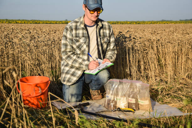 istock Farmer preparing soil samples for laboratory analysis outdoors 1421628000