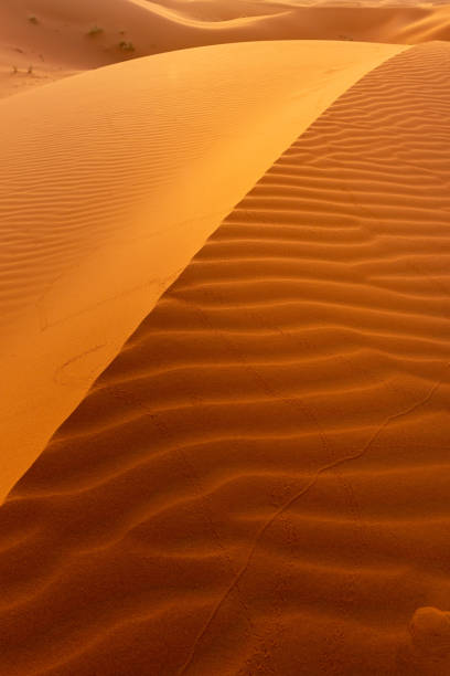 istock Beautifull Sahara desert at Morrocco 1421628108