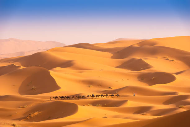 istock Beautifull Sahara desert at Morrocco 1421628138