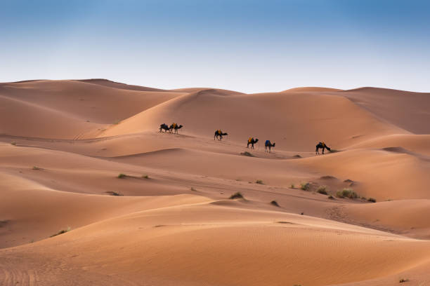 istock Beautifull Sahara desert at Morrocco 1421628234