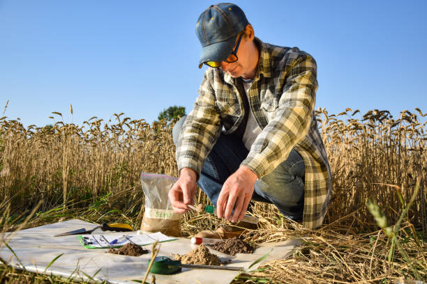Agronomy specialist taking soil sample in test tube outdoors Male agronomy specialist taking soil sample in test tube outdoors, using laboratory equipment, performing soil certification at agricultural grain field sunrise. Environment research soil tester stock pictures, royalty-free photos & images