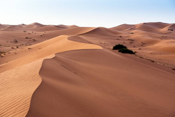 istock Beautifull Sahara desert at Morrocco 1421630410