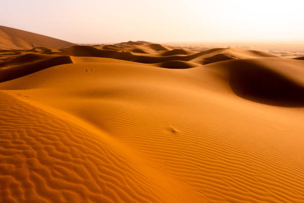 istock Beautifull Sahara desert at Morrocco 1421631682