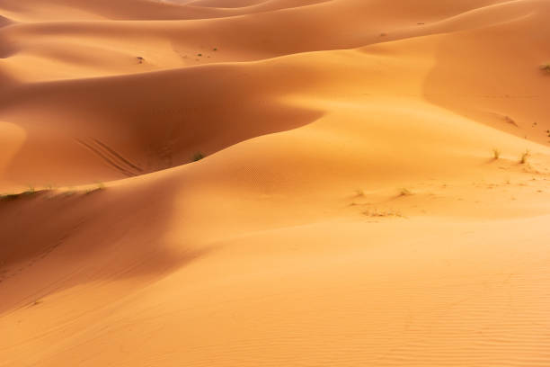 istock Beautifull Sahara desert at Morrocco 1421631911