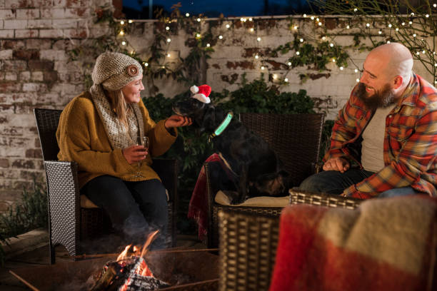 istock Sitting With Silly Dog Wearing a Santa Hat 1421631999