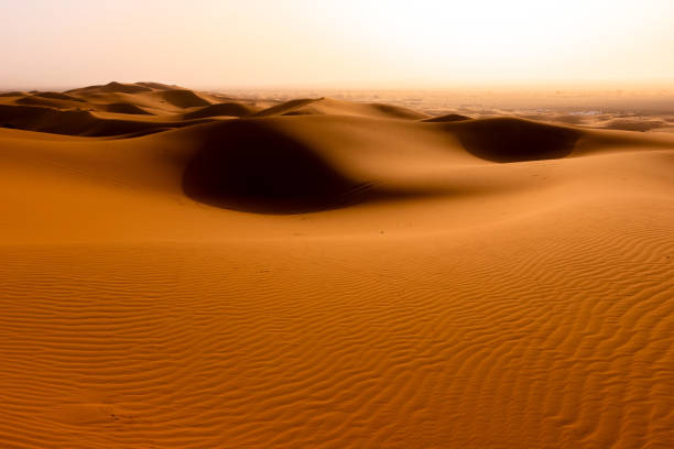 istock Beautifull Sahara desert at Morrocco 1421633727