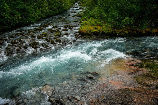 The view from the port side of a powerboat as it moves along the ocean water of a beautiful remote inlet, with rugged forested mountains in the background.  The boat is traveling up Indian Arm, B.C.