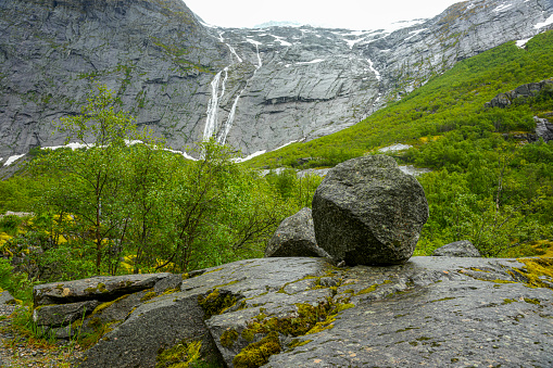 Beautiful panorama with large stones and tall trees