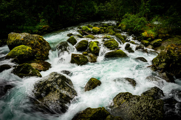 A picturesque river cascades over smooth rocks, framed by trees and vibrant autumn colors under an overcast sky