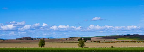 istock Farm in Scotland, under blue sky with clouds 1421636343