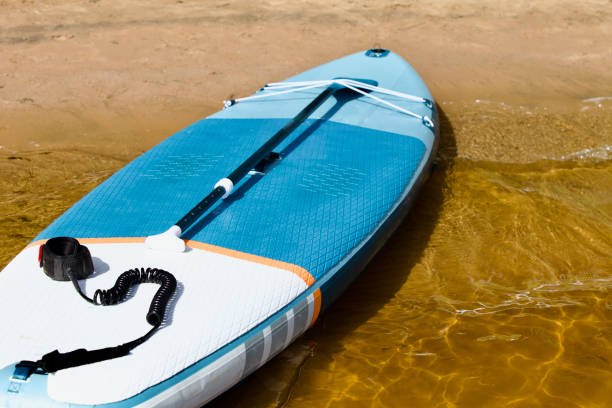istock Drifting SUP board and surf board with paddle on sandy shore close up 1421636921