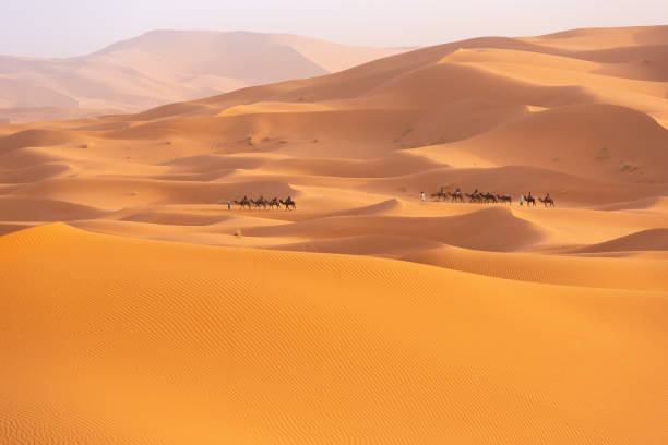 istock Beautifull Sahara desert at Morrocco 1421636930
