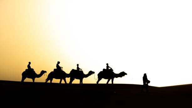 istock Beautifull Sahara desert at Morrocco 1421637974