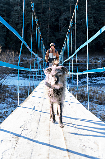 Young man with mixed breed fluffy dog walking on wooden bridge over river covered with first snow and ice in autumn or early winter Hiking and traveling with pets Active lifestyle dog adoption