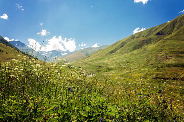 View of high alpine meadows in the mountains of the Greater Caucasus. Russia, Republic of North Ossetia-Alania.