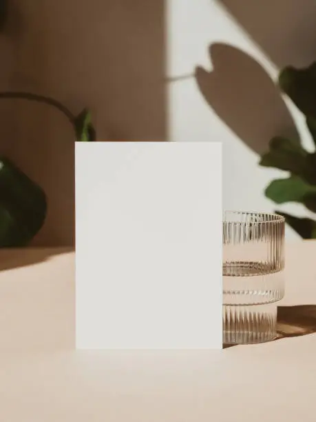 Photo of Blank paper sheet cards mockup, glass and plant shadow