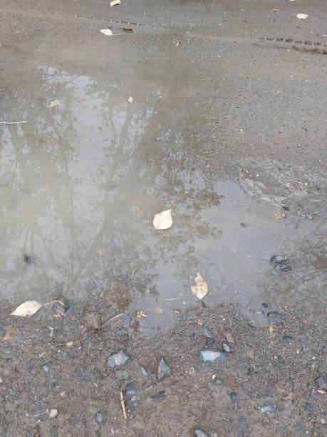 istock a puddle with yellow leaves on the asphalt 1421643854