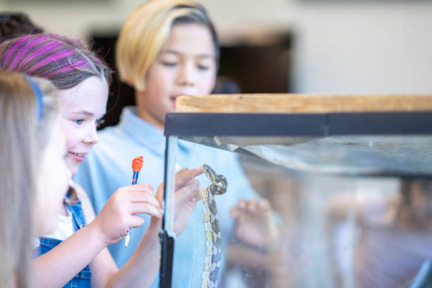 istock Discovering Reptiles in a Montessori Classroom 1421644882