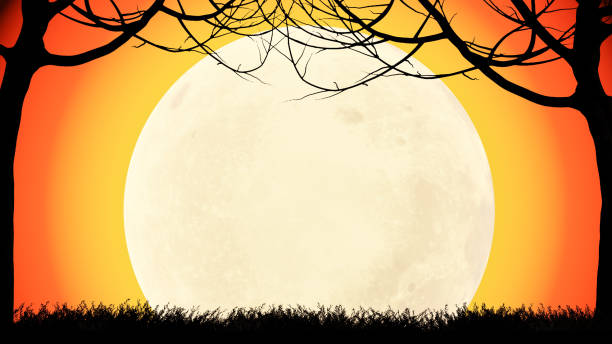 Background full moon orange and dead branches, no leaves, grass in silhouette for Halloween use. paper or flat background Halloween festival. 3d rendering