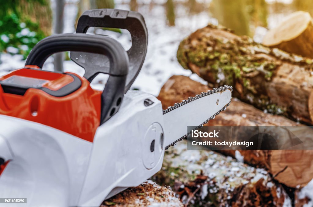 Lumberjack saws tree with a chainsaw in the forest Lumberjack saws a tree with chainsaw in forest. Chain - Object Stock Photo