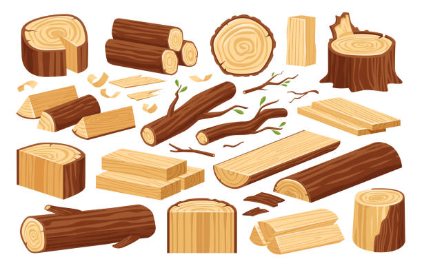 Tree stump, wooden logs and timber materials. Natural lumber, carpentry materials set. Wooden plank, billet. Wood vector Tree stump, wooden logs and timber materials. Natural lumber, carpentry materials set. Wooden plank, billet. Wood vector tree trunk stock illustrations