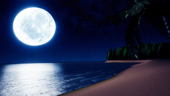 Wide beach and sea with pine trees and mountains alternate in the background. Full moon night bright stars are filling the sky. Night sea and beach  scenery. 3D Rendering