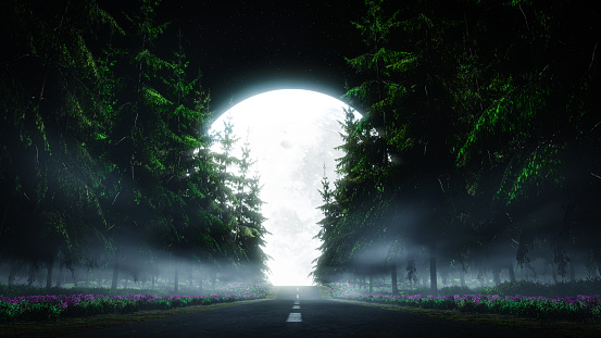 The road cuts through the mountain pine forest. There are flower bushes by the side of the road. Heading towards full moon at night. Early winter night road with fog covering the surface.3D Rendering