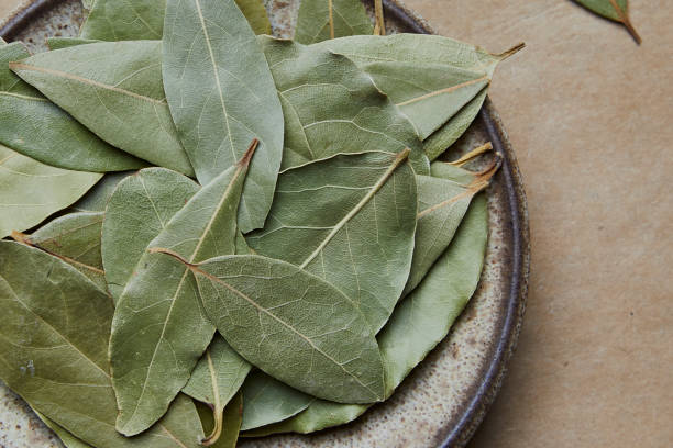 Bay leaf spice on a rustic handmade ceramic plate Dry bay leaf spice on a rustic handmade ceramic plate, on a kitchen table top, top view macro with a copy space bay leaf stock pictures, royalty-free photos & images