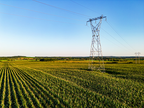 Drone view of corn beneath a high voltage power line.