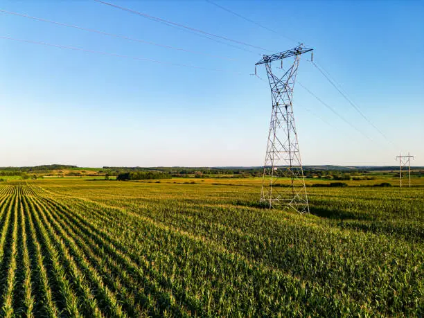 Photo of Corn Field & Power Line