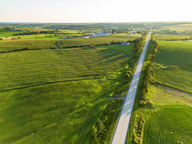 istock Aerial View of Corn Field 1421653675