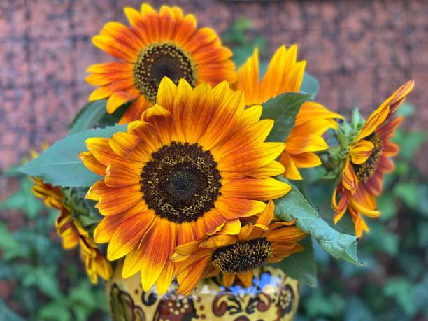 istock Decorative sunflowers flowers in a vase. 1421657327