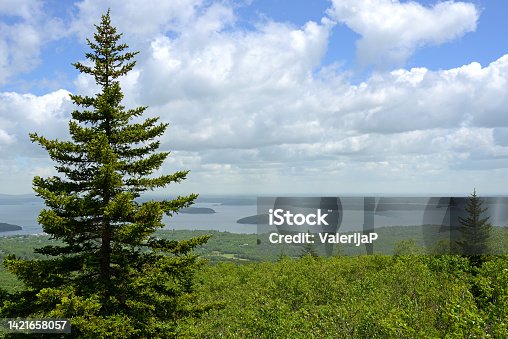 istock Sweeping vistas of Bar Harbor, Frenchman Bay, and the Schoodic Peninsula from Acadia National Park. State of Maine. USA 1421658057