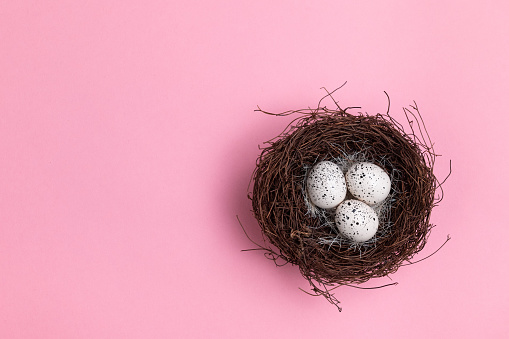 Three eggs in bird's nest
