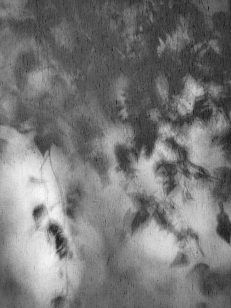 istock Shadow of birch tree leaves and branches through white curtains. 1421661125