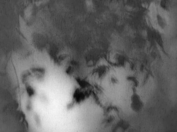 istock Shadow of birch tree leaves and branches through white curtains. 1421661126