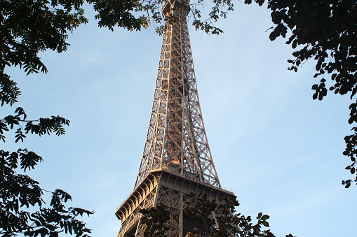 A perspective of the Eiffel Tower in Paris, France framed by tree foliage.