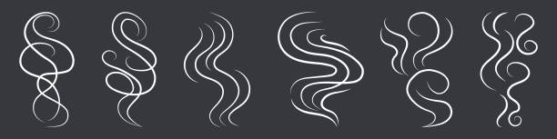 ilustrações de stock, clip art, desenhos animados e ícones de white cartoon smoke steam and smell icon set. smoking and steaming sign - smoke smoking abstract wave pattern