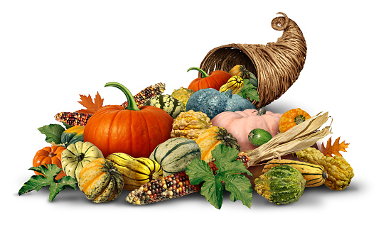 Thanksgiving Cornucopia horn object full of fresh fruit and vegetables on a white background as a rustic traditional wicker or weaved basket with Autumn and Fall season agricultural produce harvest.