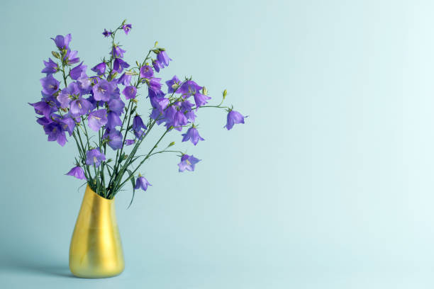 istock Bluebell flowers (Campanula) in a vase with space for copy 1421672993