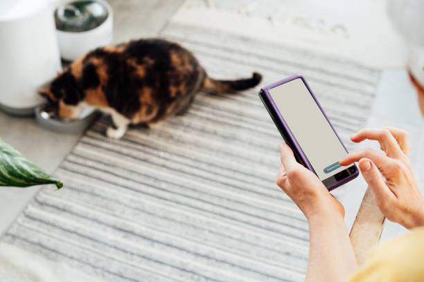 istock Female hands holding smartphone and using application to control cat food dispenser. Cat eating from smart feeder in cozy home interior on background. Home life with a pet. Healthy pet food diet. 1421677221