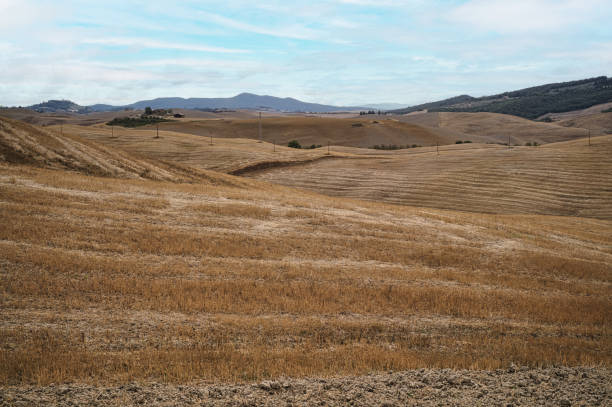 hills around Volterra in Tuscany