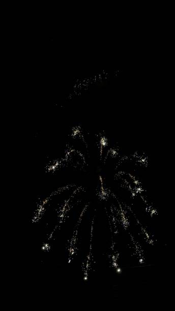 istock Fireworks light up the sky with dazzling display. 1421681186