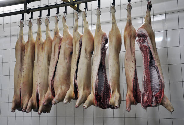 istock In the shop for processing pig meat 1421681383