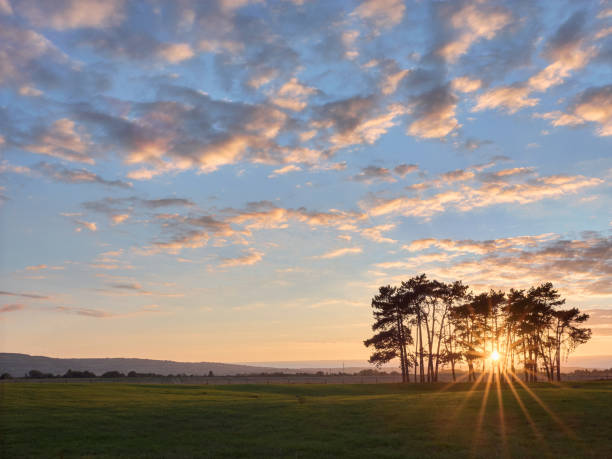 80+ Fotos, Bilder und lizenzfreie Bilder zu Carlow Fotos iStock