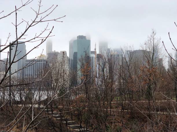 istock View of Manhattan from Brooklyn 1421684452