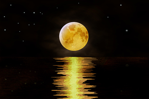 Night seascape with a marine background and sunset, moon. Reflection of the moon in the night water. Vector illustration
