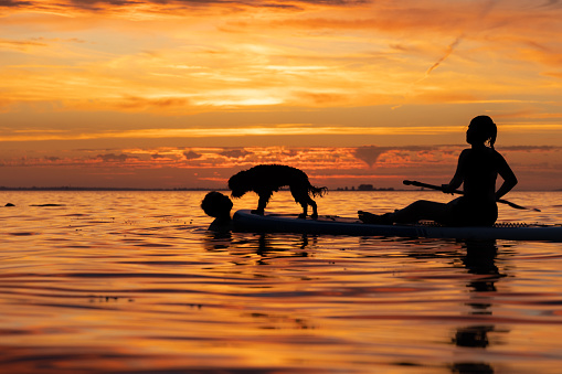 two persons on SUP Board in golden sunset